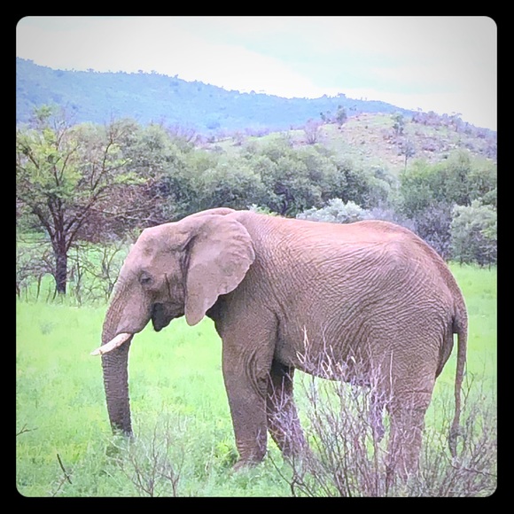 Meet your Posher, Chinye - Picture 1 of 1